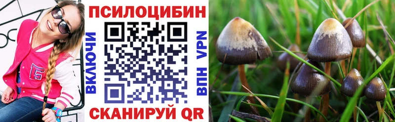Галлюциногенные грибы мухоморы  Купить где  Тында 